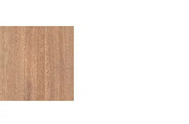 Pacific Maple1