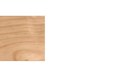 Radiata Pine 1