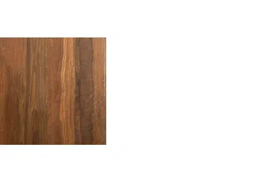 Spotted Gum1