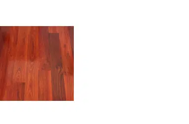 jarrah1